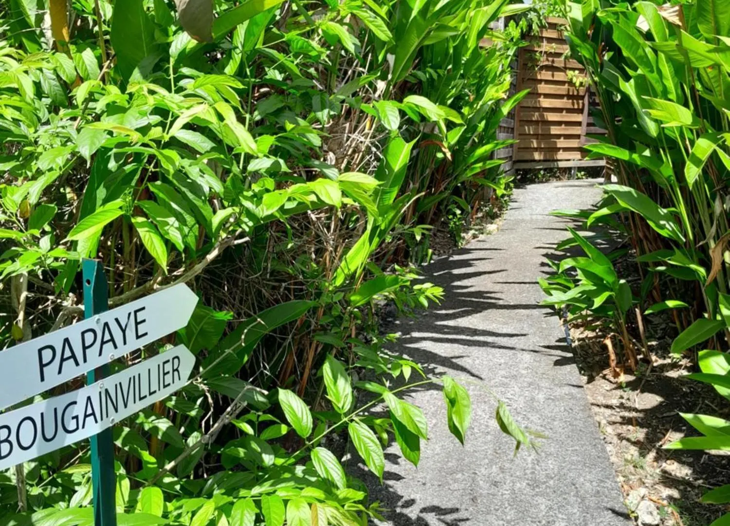 Bungalow Papaye Sainte-Anne  Holiday home Sainte-Anne (Grande-Terre)