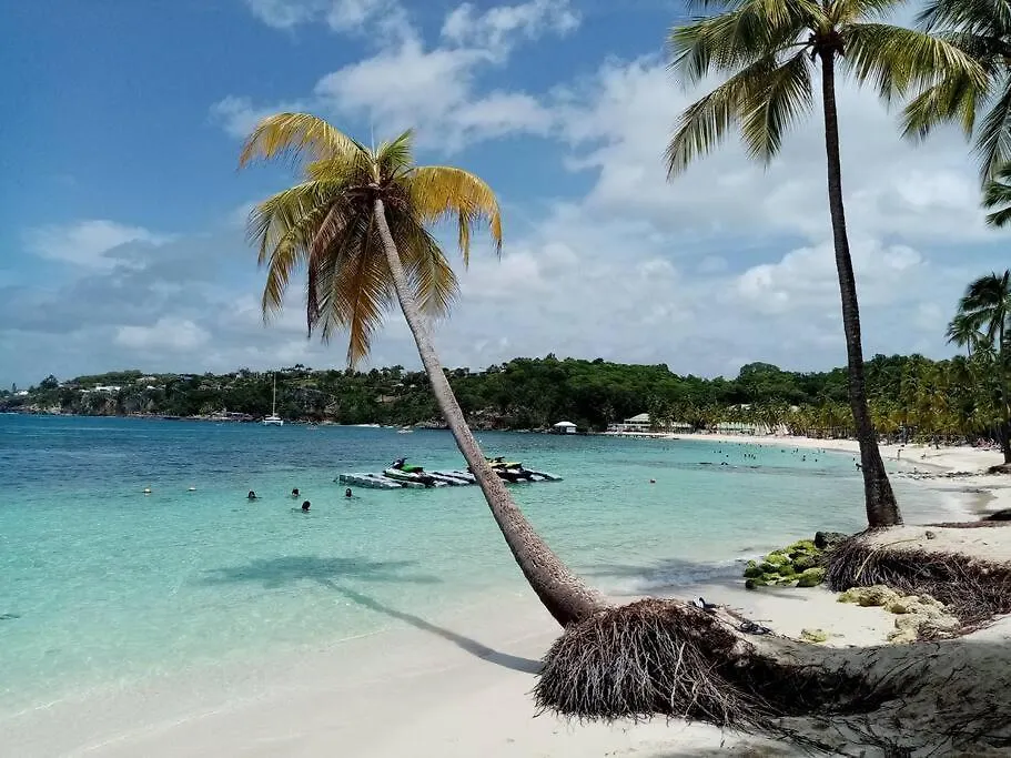 Holiday home Bungalow Papaye Sainte-Anne