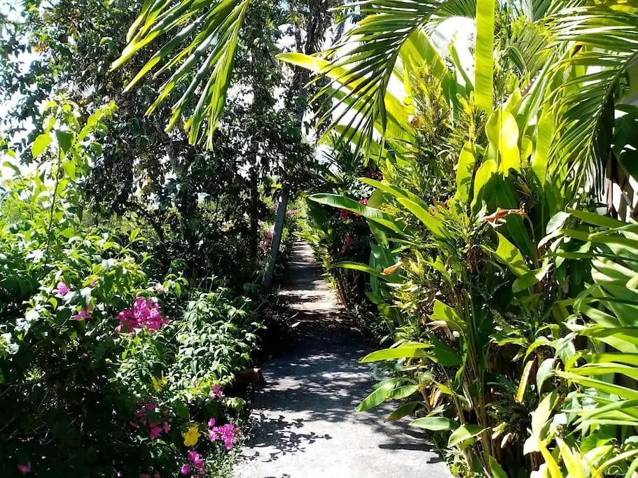 Bungalow Papaye location